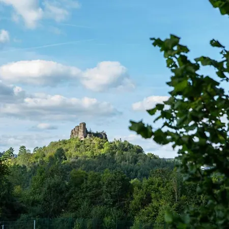 Mountain-view In Mullenborn Garden, Cleaning Included Gerolstein